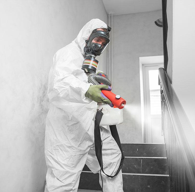 Fogging Cleaning